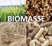Biomassa definizione